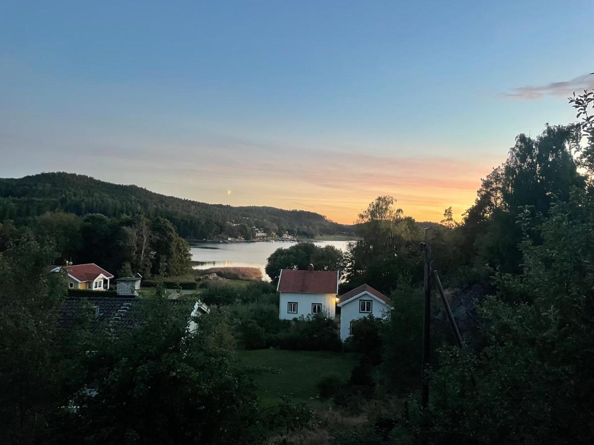 Villa Angelica لجونجسكيل المظهر الخارجي الصورة